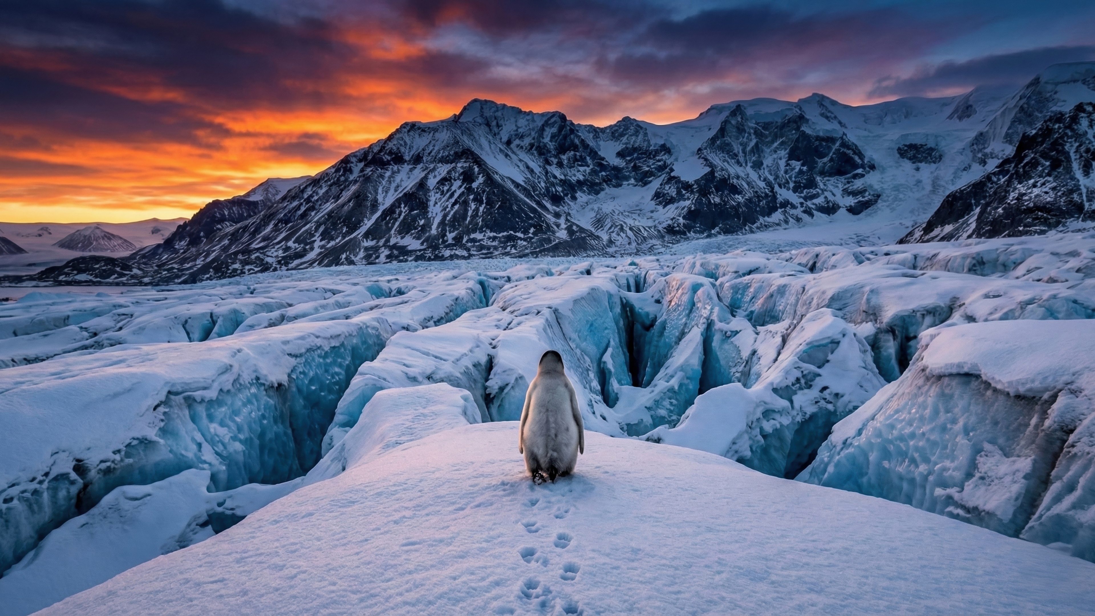 Loneliness At The Edge Of The World. The Solitary March