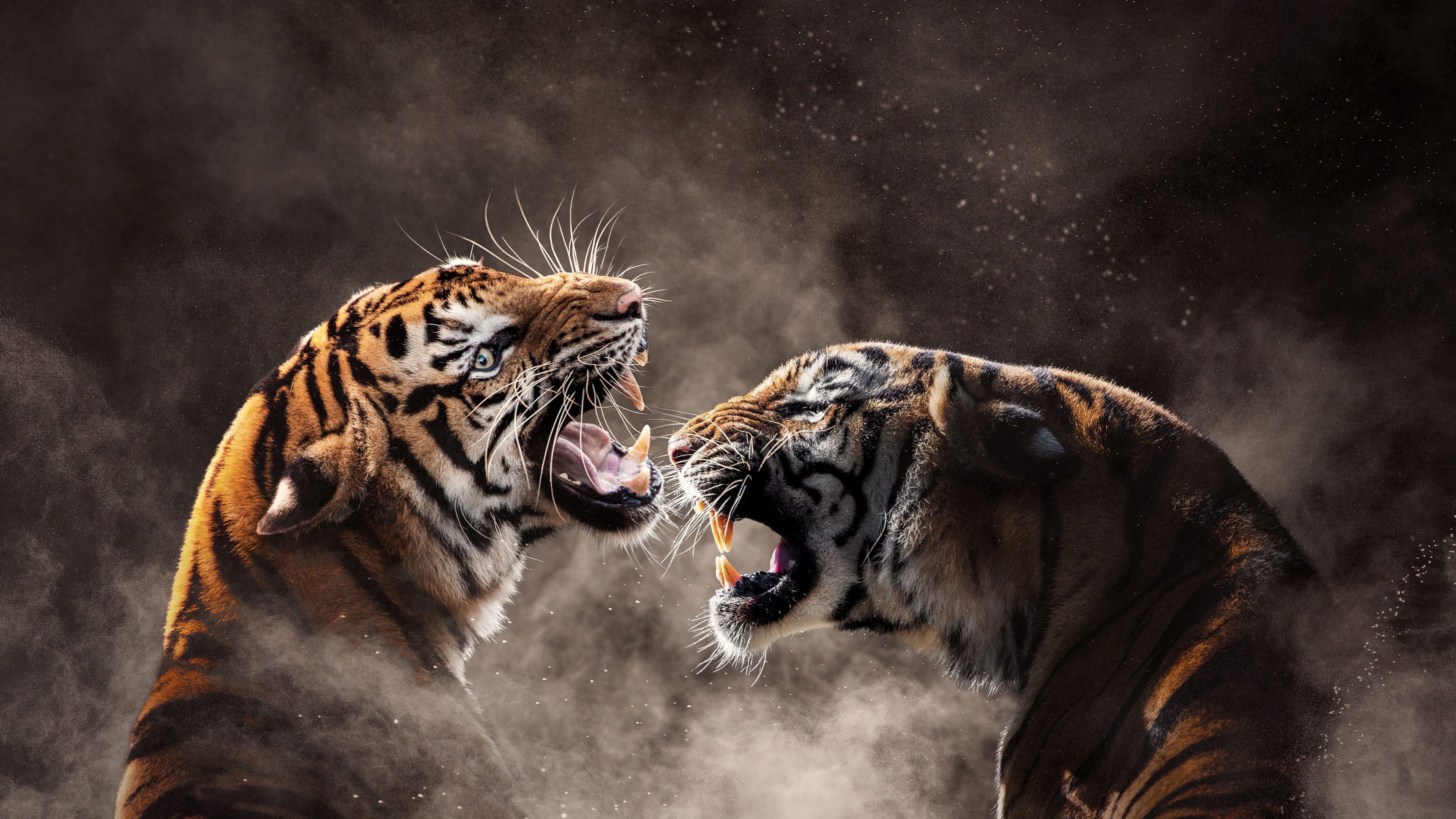 Clash of the Apex Predators. Roaring Dominance