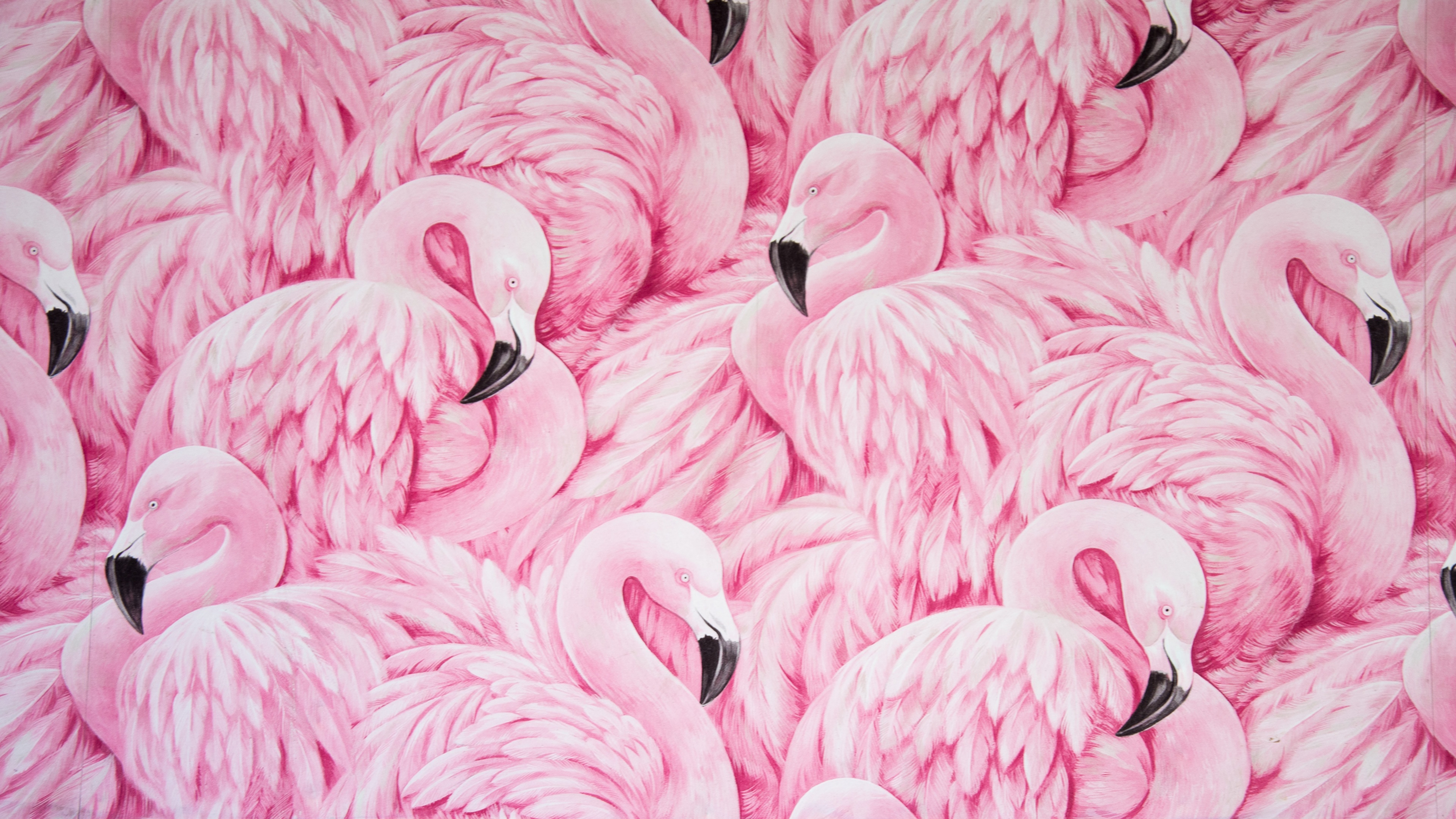 Woven In Pink. The Endless Flamboyance