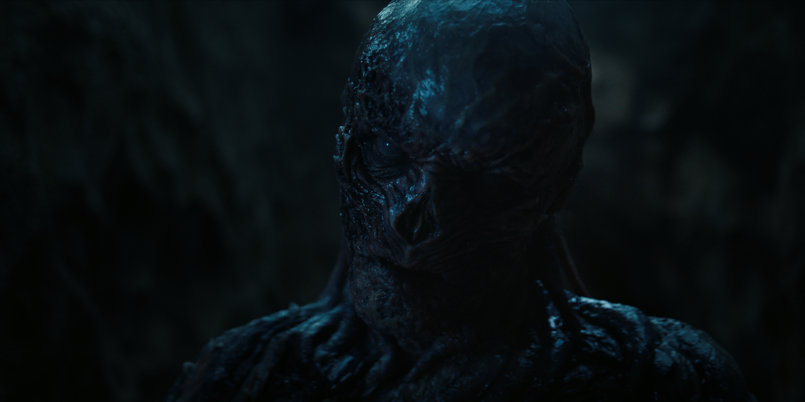 The Nightmare From The Upside Down